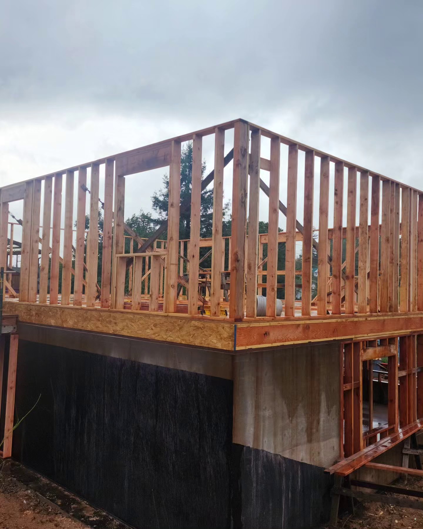 Wall framing and sheathing on a new construction project